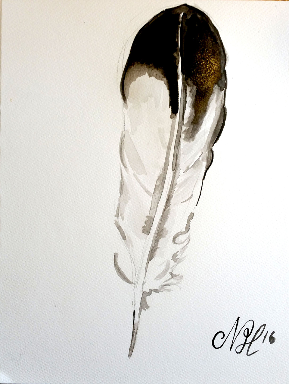 feather, ink on paper